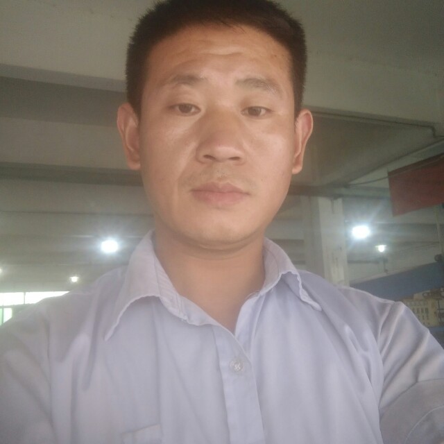 孤单的天狼的照片