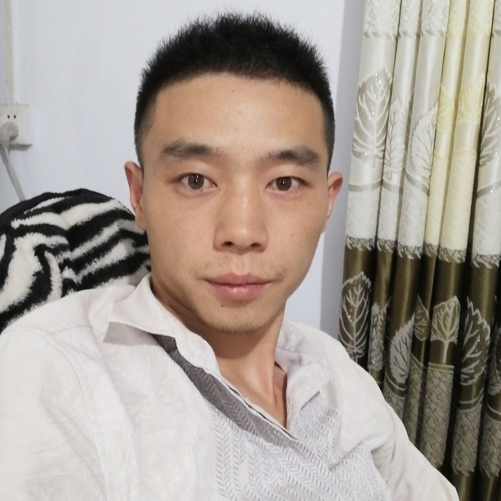 自行车保卫傻傻的照片