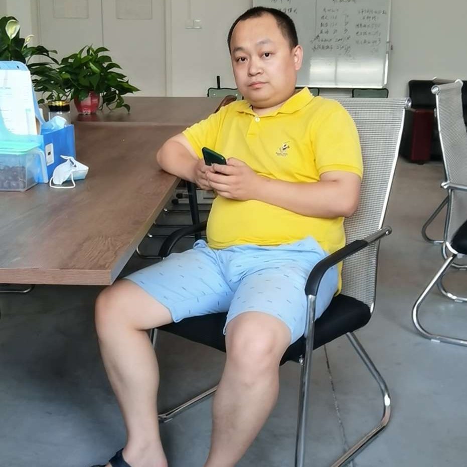 孤單吃醋大雁的照片