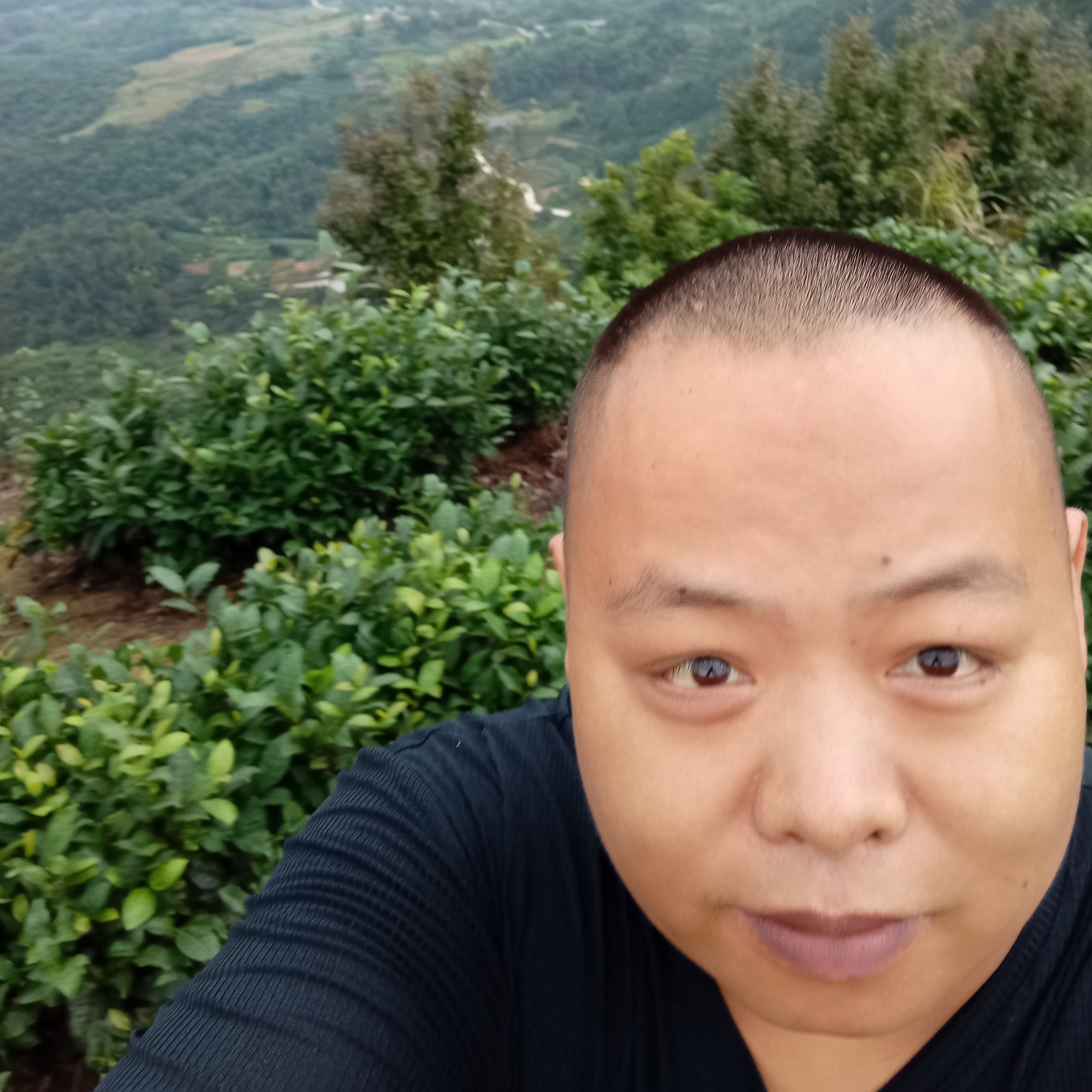 丁丁   糖的照片