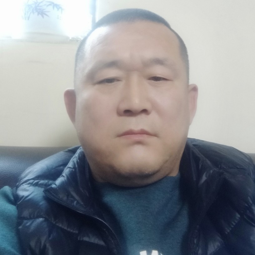 鸡迎生动的照片