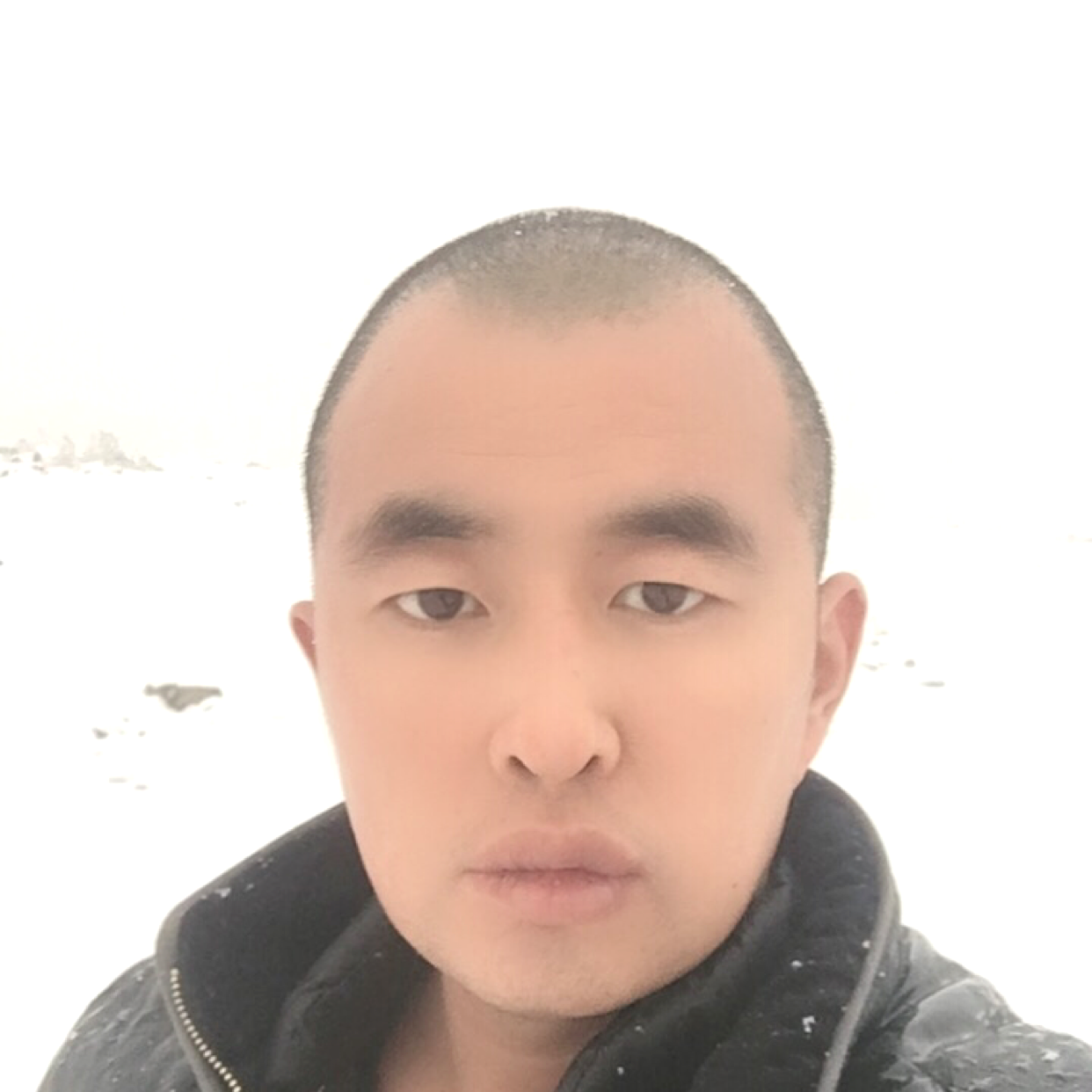 仙人掌等待天真的照片