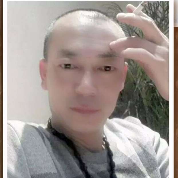 最后一条命的照片