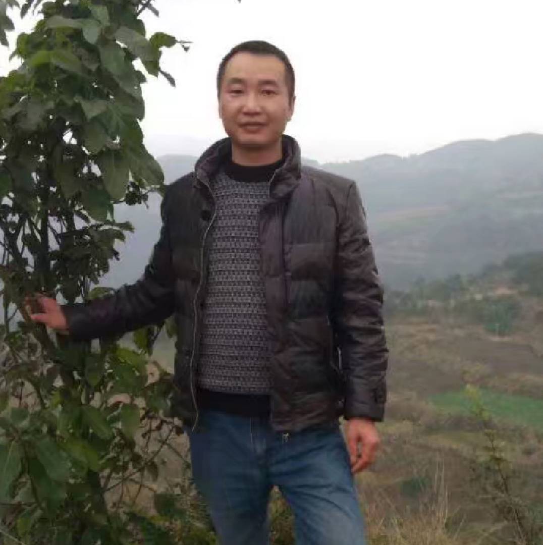 饿了的狼的照片