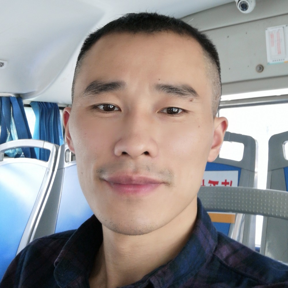寻燕、南飞的照片