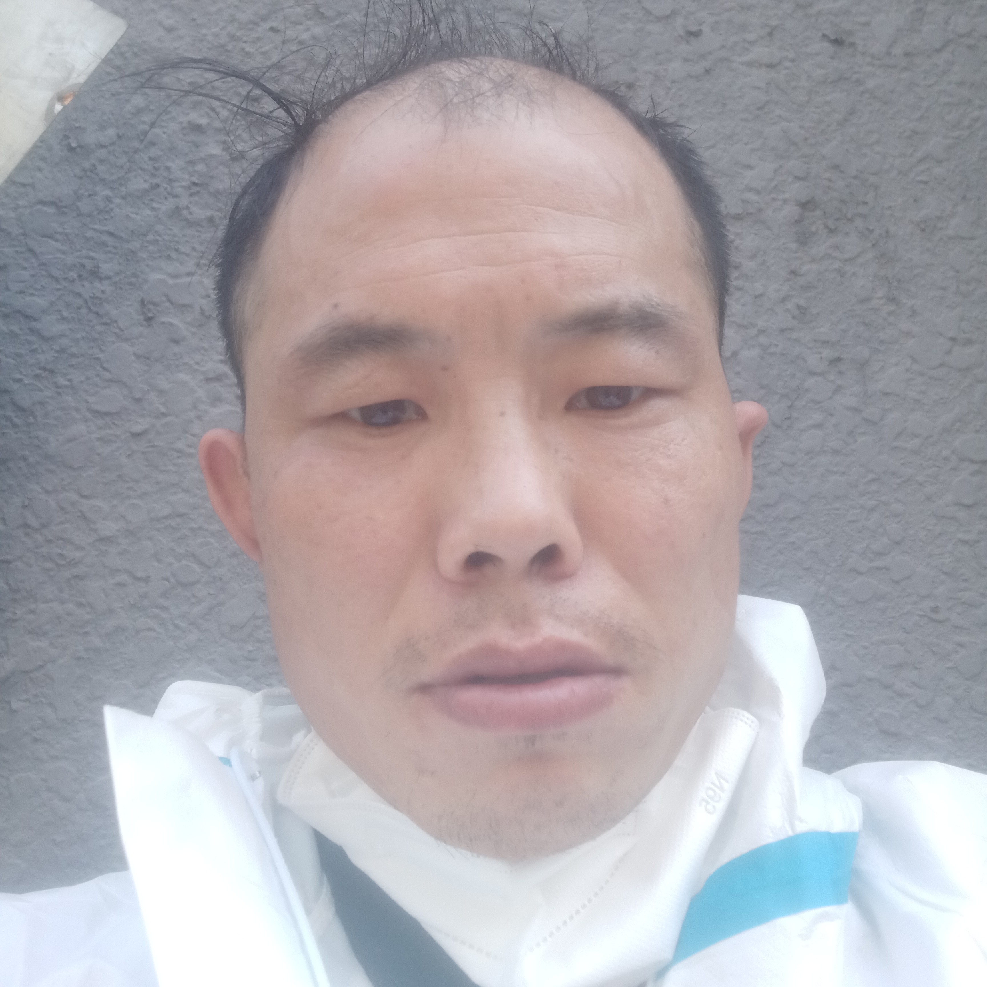 泥猴桃放弃失眠的照片