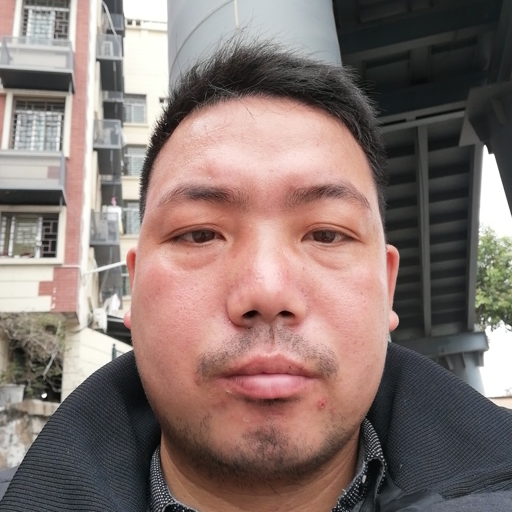 高挑荷花的照片