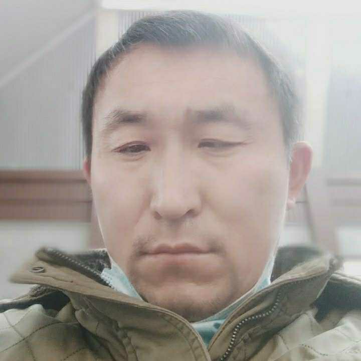 绿草闻大气的照片