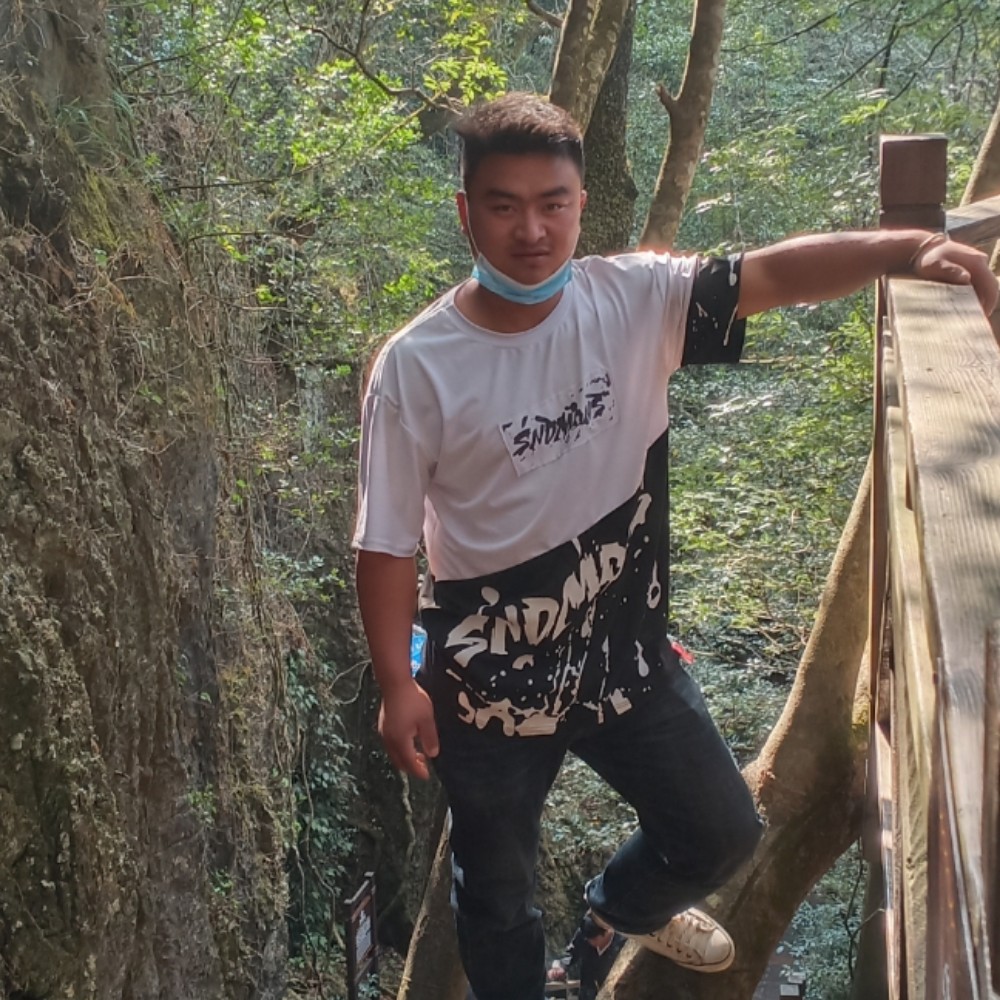 白猫有悲凉的照片