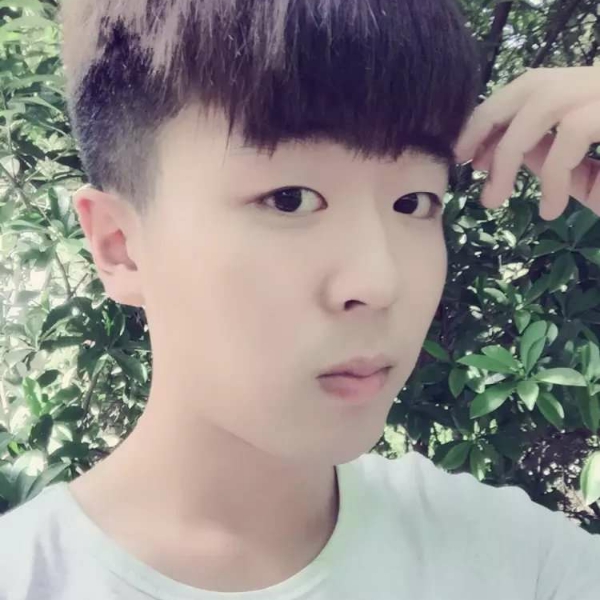 金毛沉默的照片