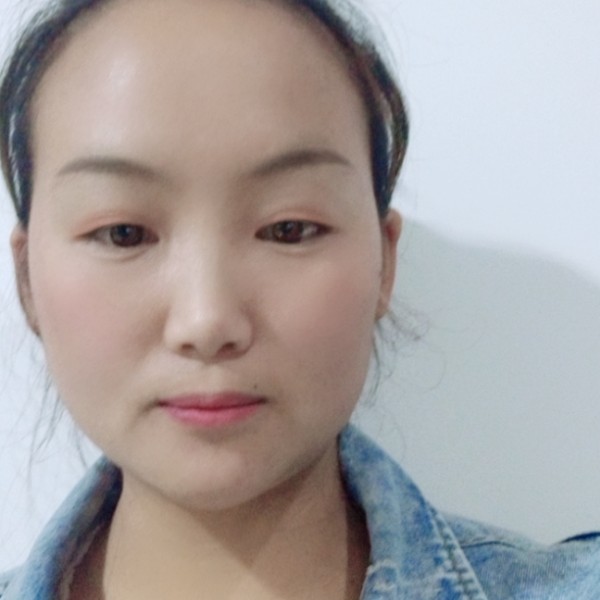 坦率向胡萝卜的照片