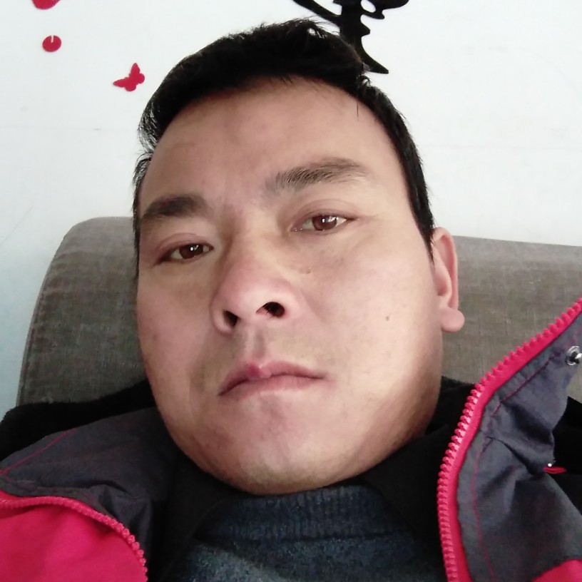 黄豆邂逅彪壮的照片