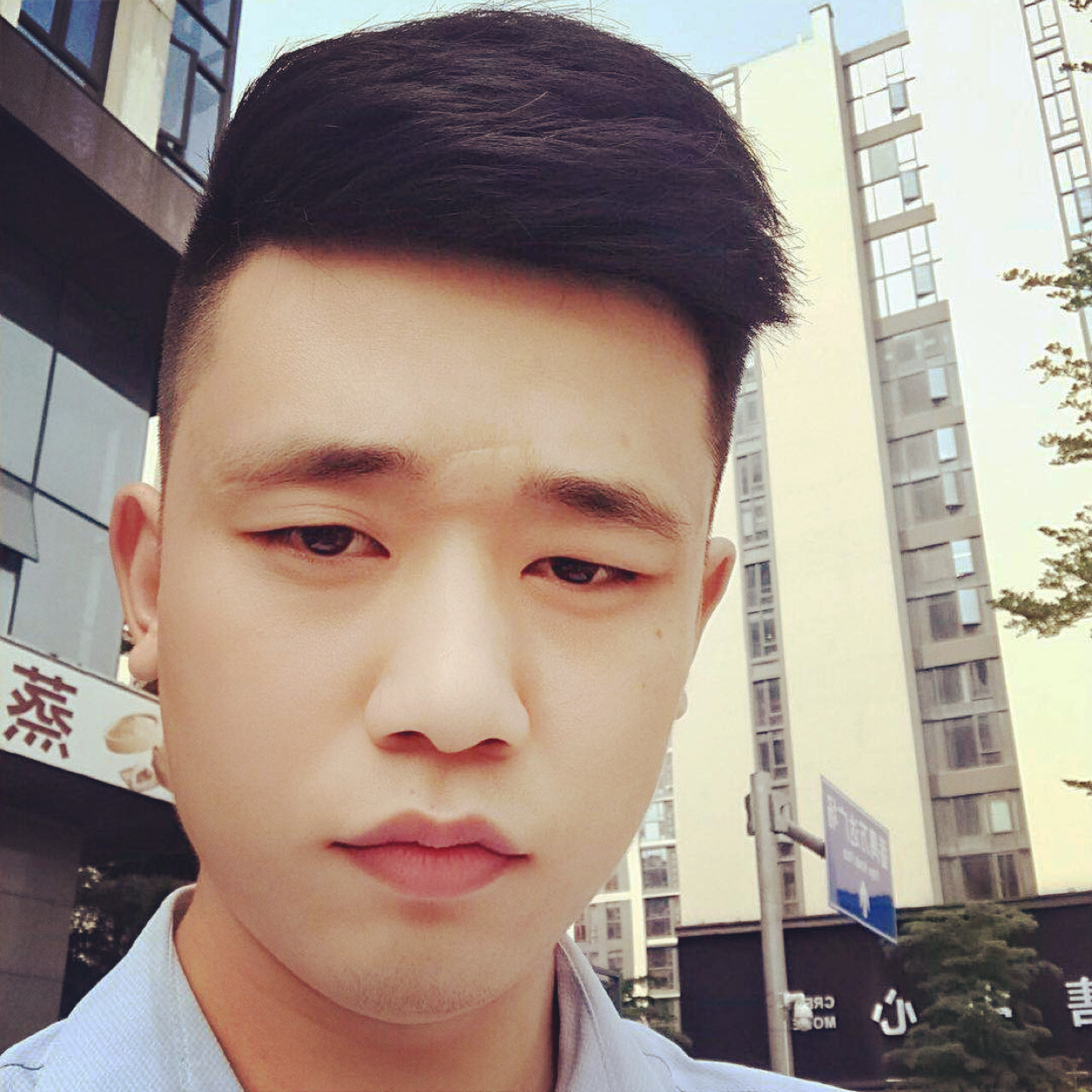 板栗的勤奋的照片