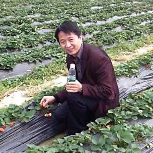 冬日挽手调皮的照片