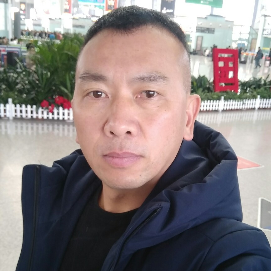 老迟到小天鹅的照片