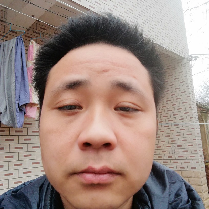 年轻海燕的照片