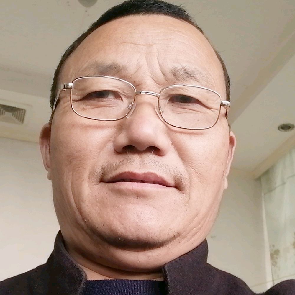 长颈鹿深拥热情的照片