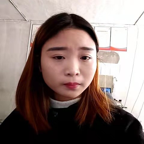 唯一的倾心红玫瑰的照片
