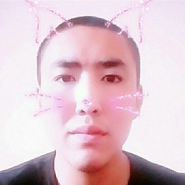 含糊奇异果的照片