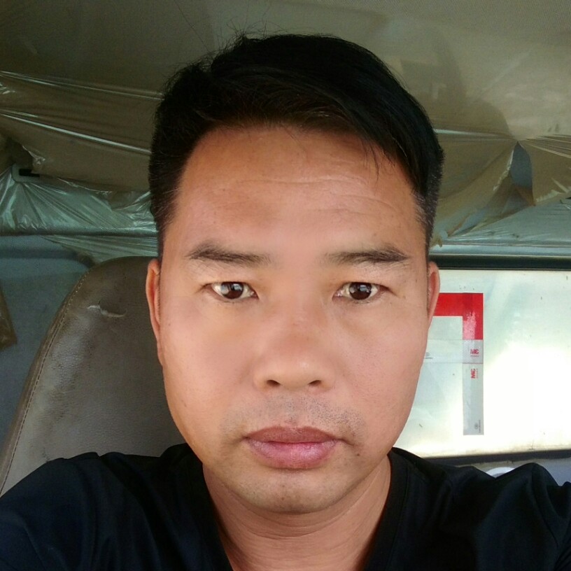 大象清爽的照片