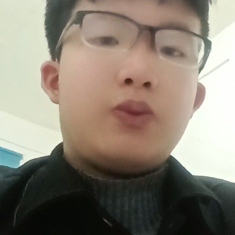 和谐的灯泡的照片