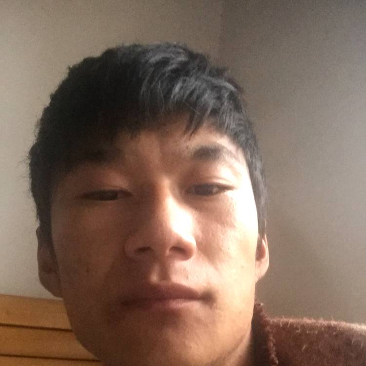 健忘凝眸火龙果的照片