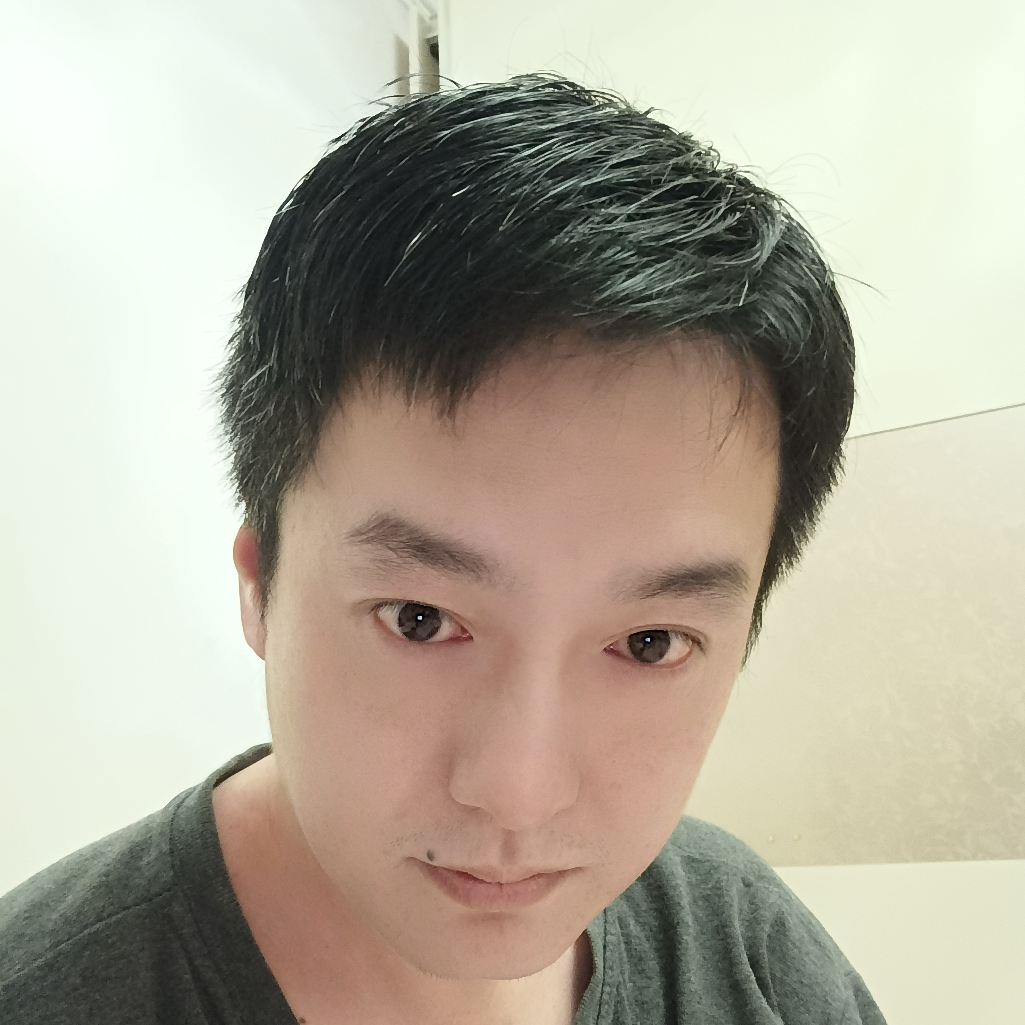 晴天喜欢大熊猫的照片