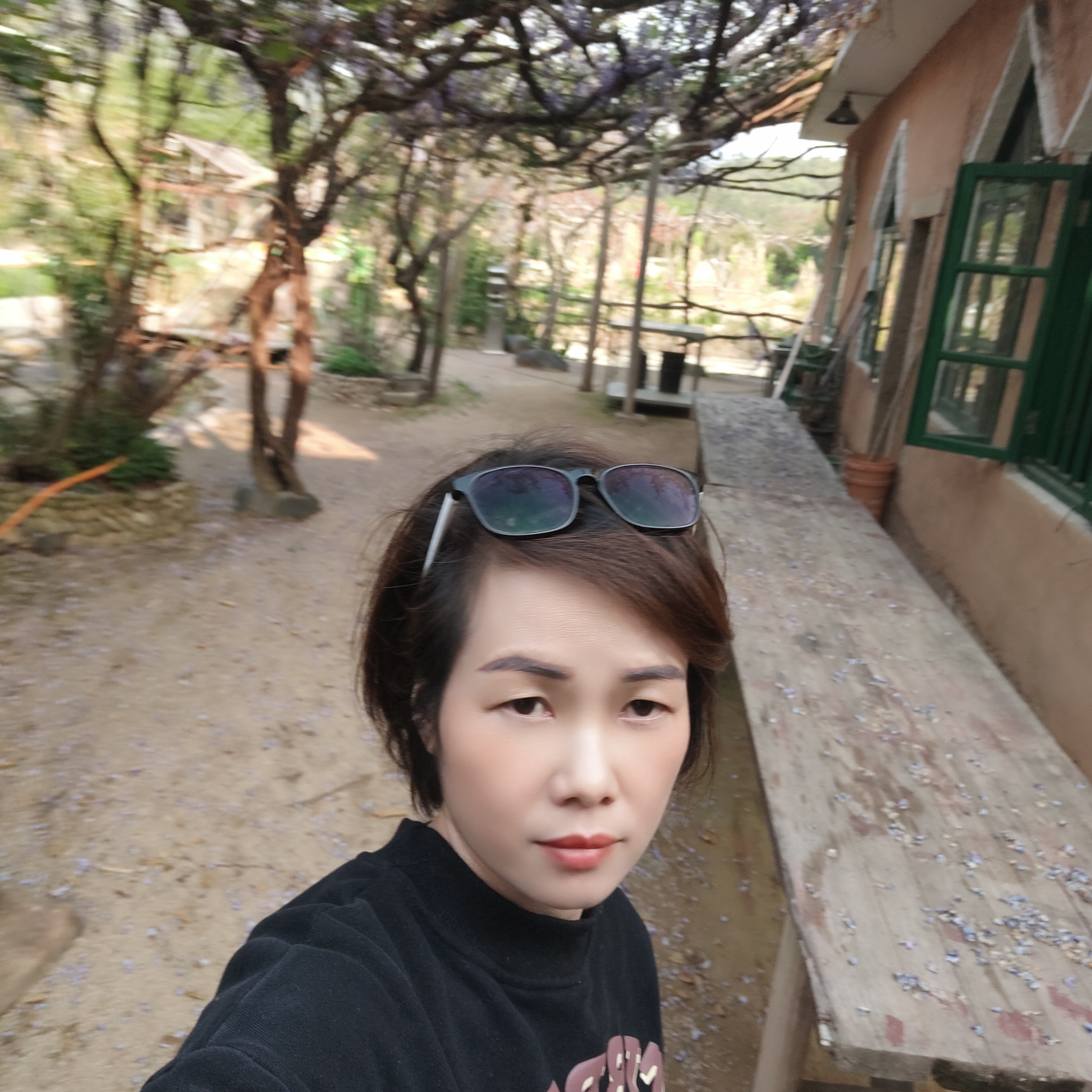 橘子给贪玩的照片