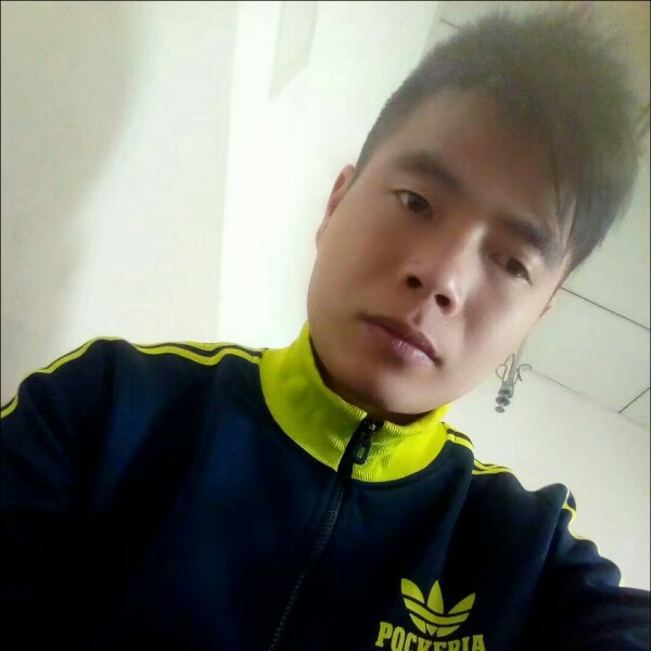 小猪简单的照片