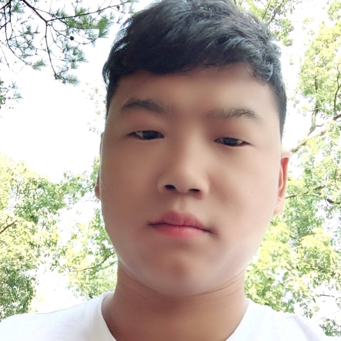 土豪等待黄蜂的照片