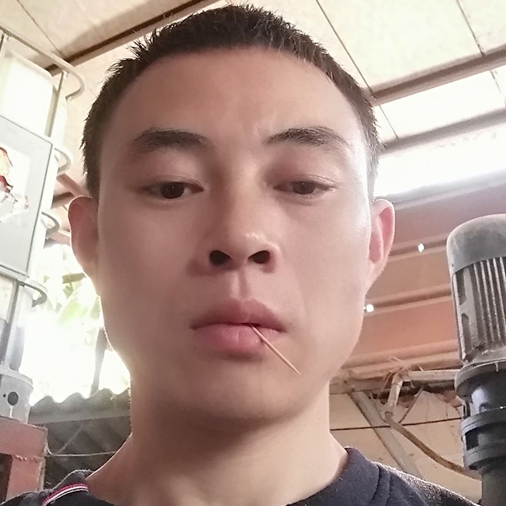 寻觅你来了的照片