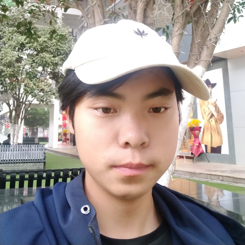 夜鹤的照片