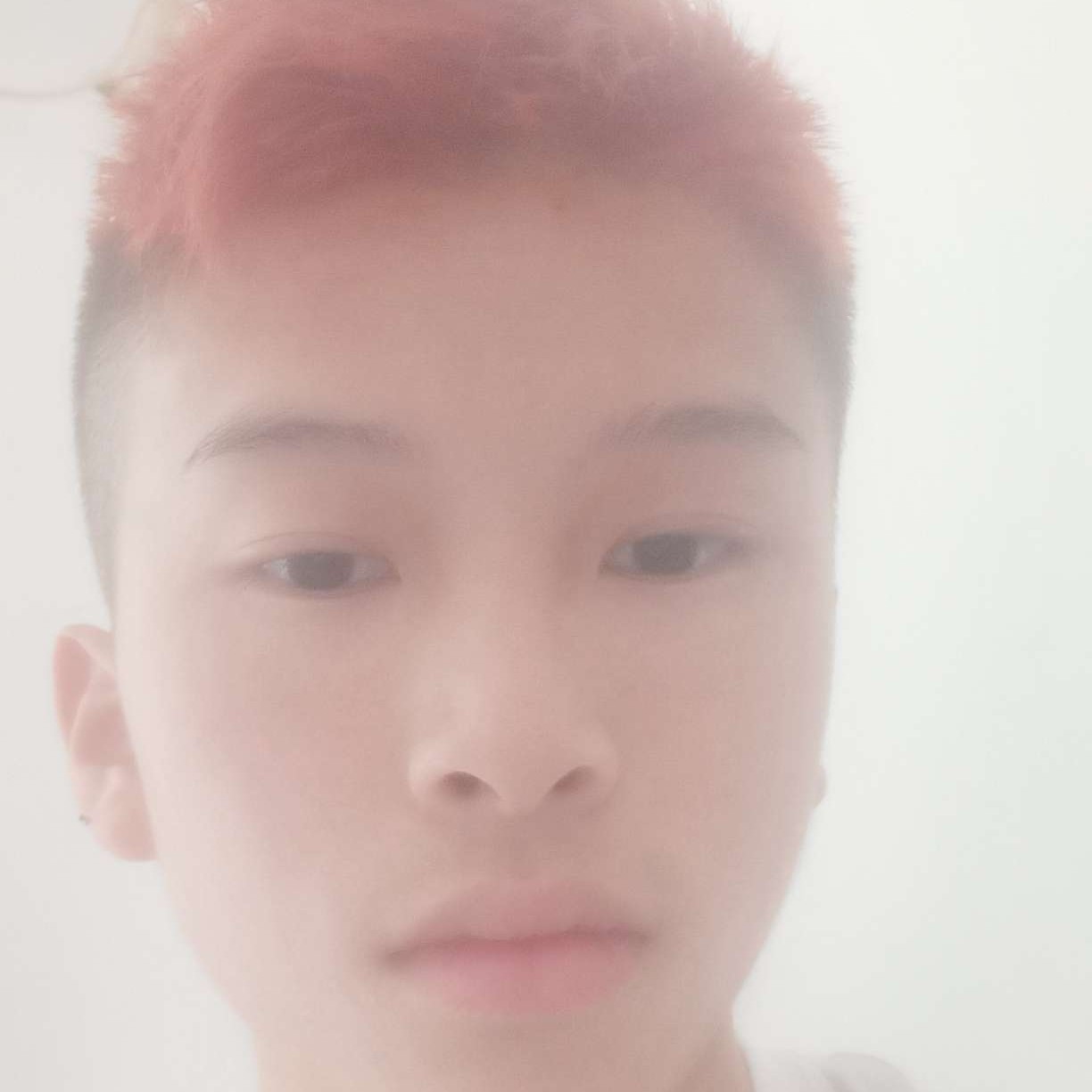 终将落俗于世的照片