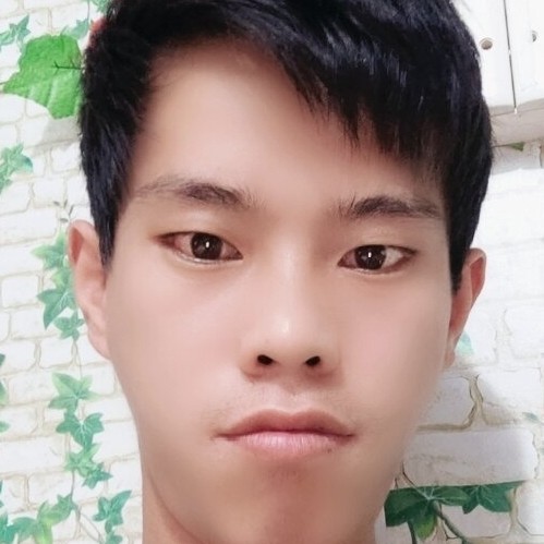 孤心爱恋贪玩的照片