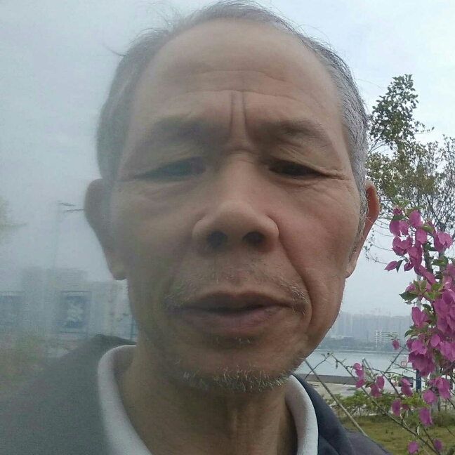 何志雄的照片