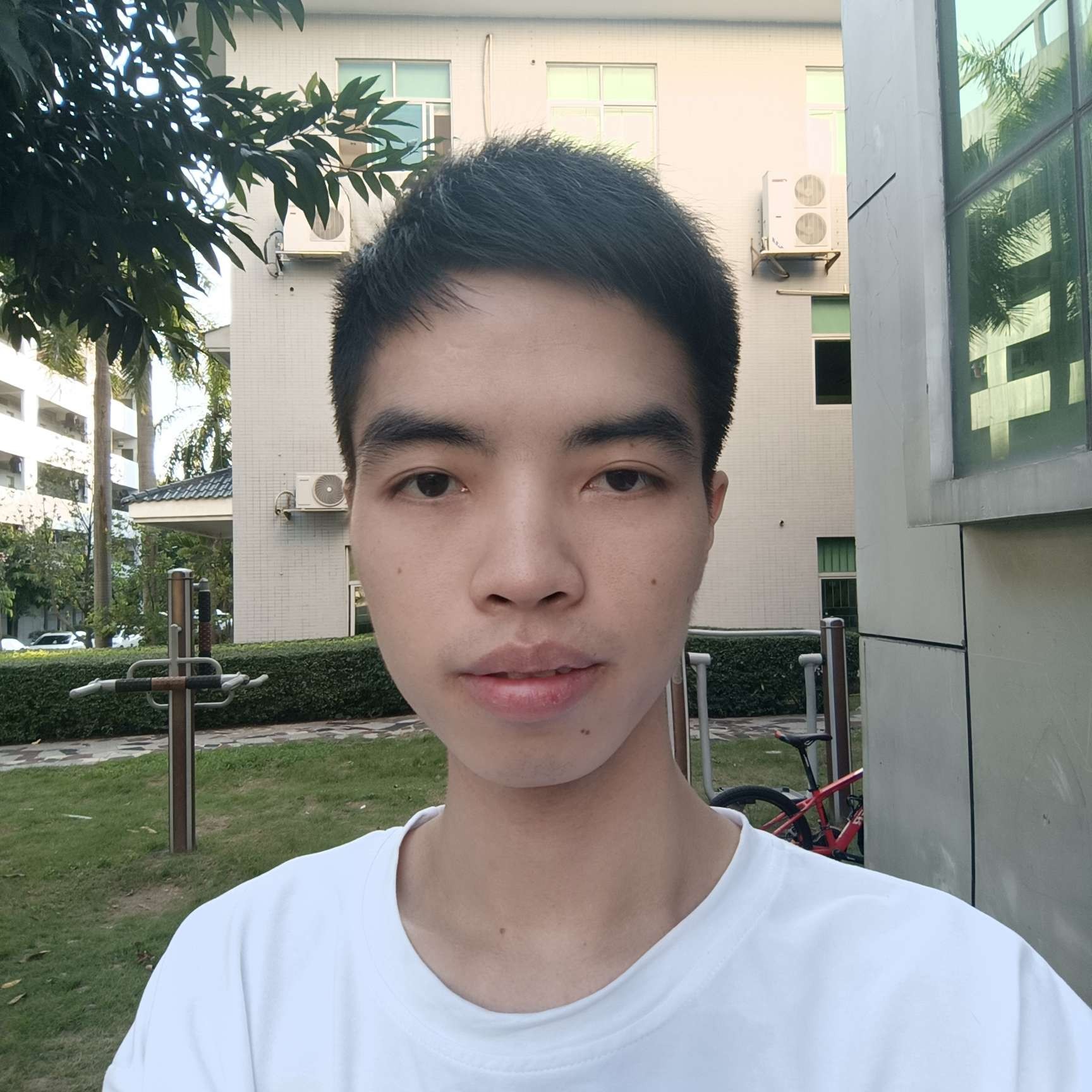 怡然闻飞鸟的照片