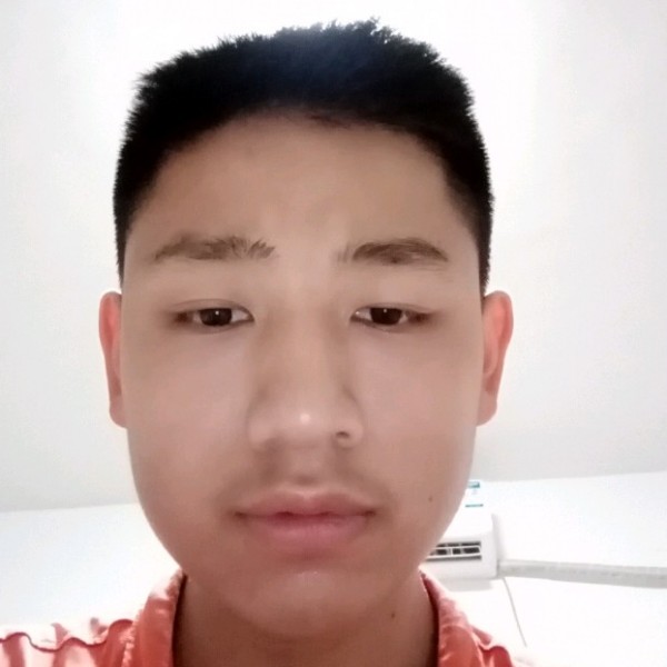 含羞草有唠叨的照片