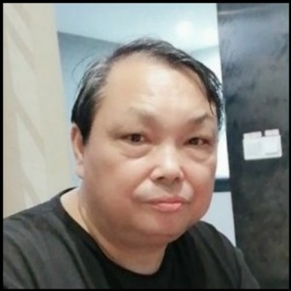 单身停止战斗机的照片