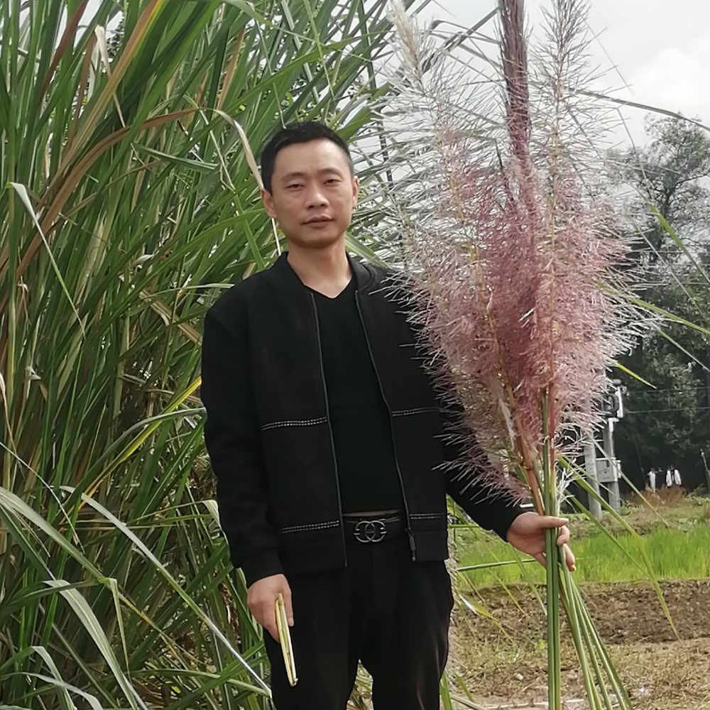 会员787435564的照片