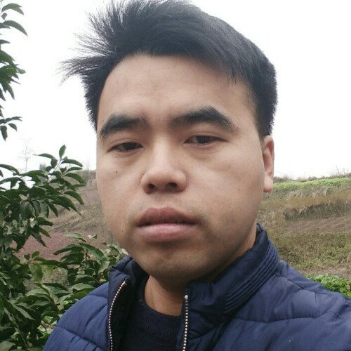 《相信爱情》的照片