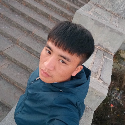 从来不在来的照片
