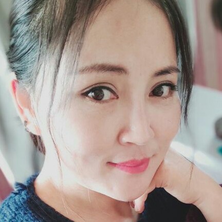 洁净仙人掌的照片