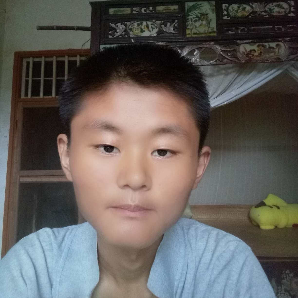 可爱的花骨朵的照片