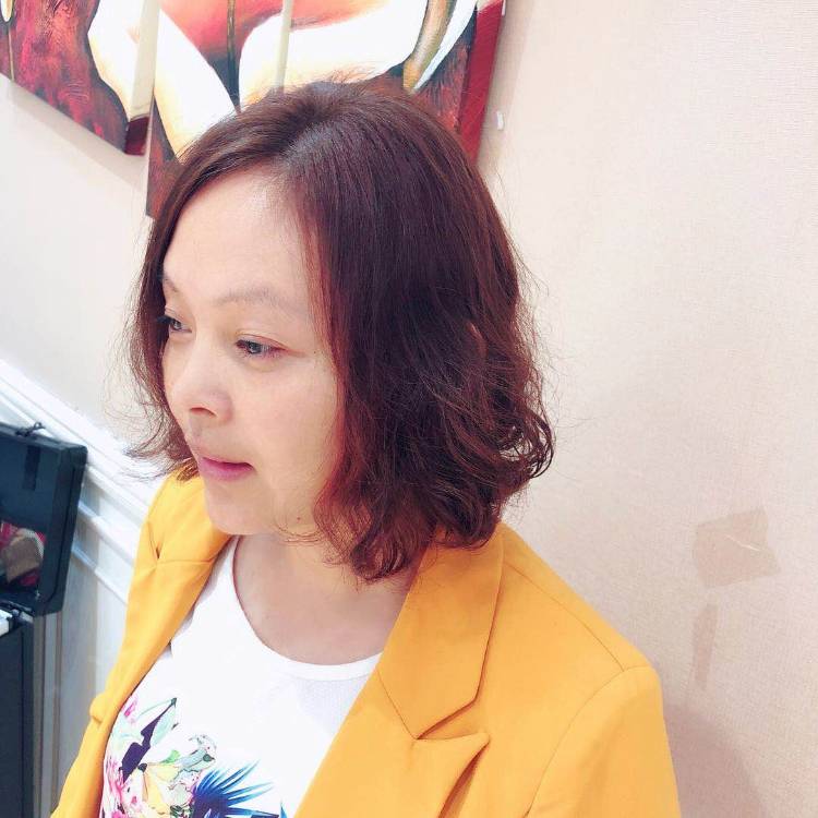 叶子的照片
