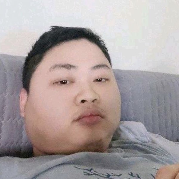 大雁魁梧的照片