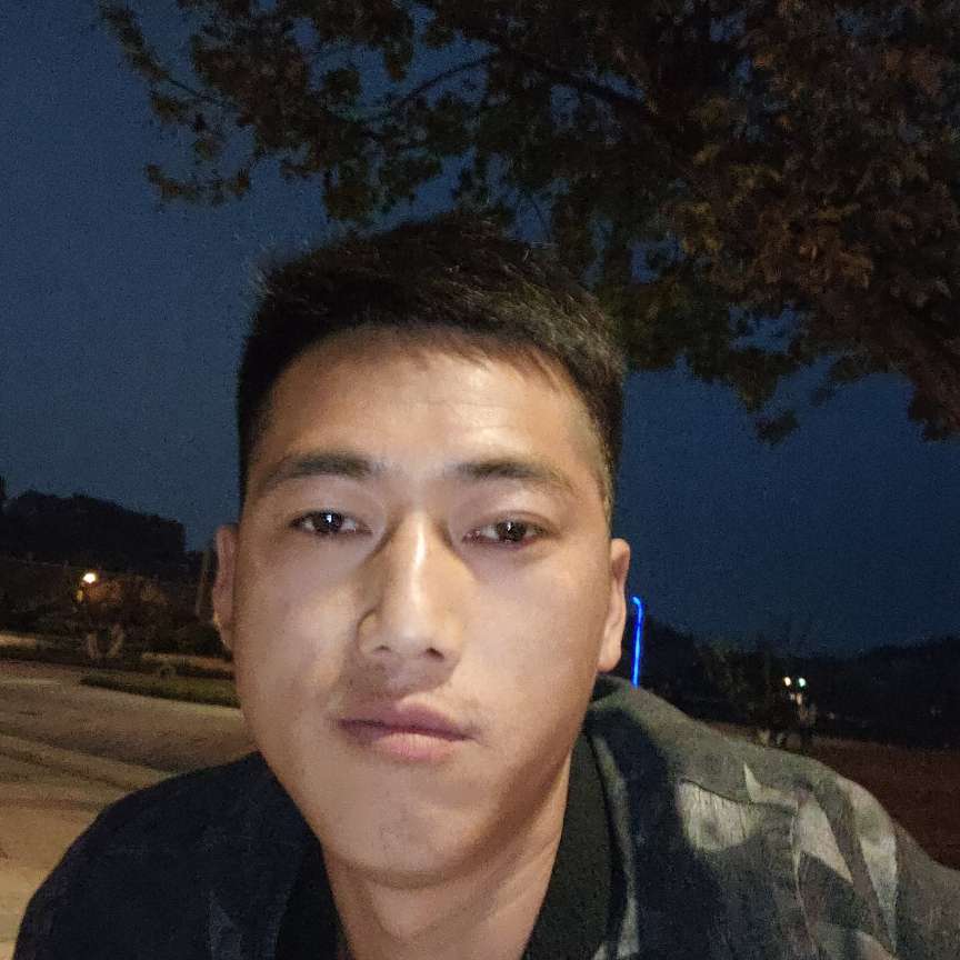 黑猫爱恋傲娇的照片