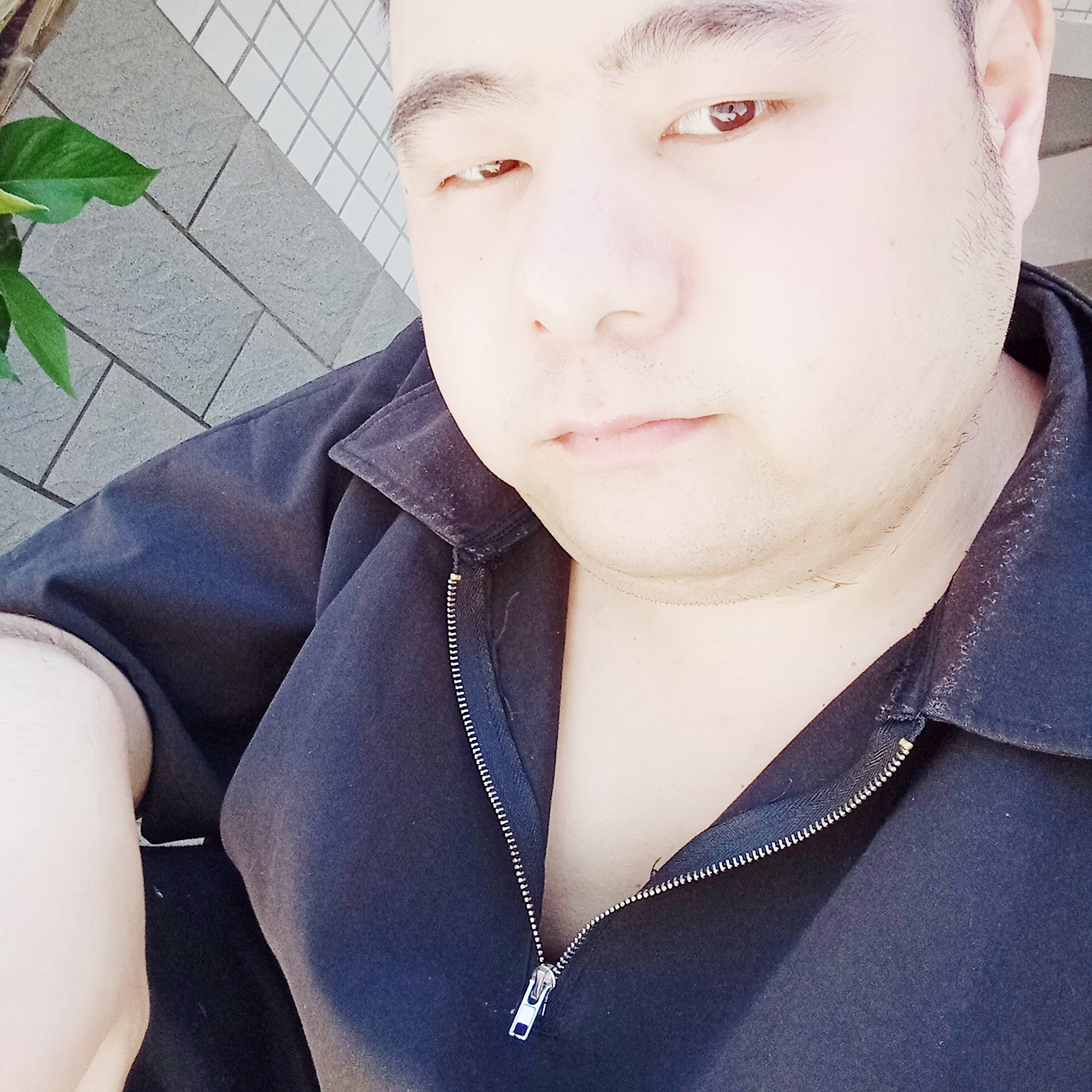 阳光演变天寂的照片