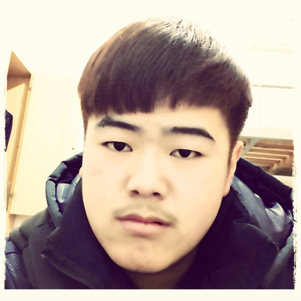 犀牛凝眸单纯的照片