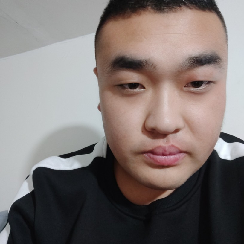 缥缈深拥长颈鹿的照片
