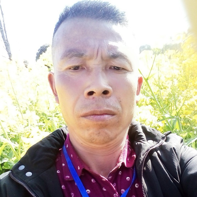 干净停止小丸子的照片